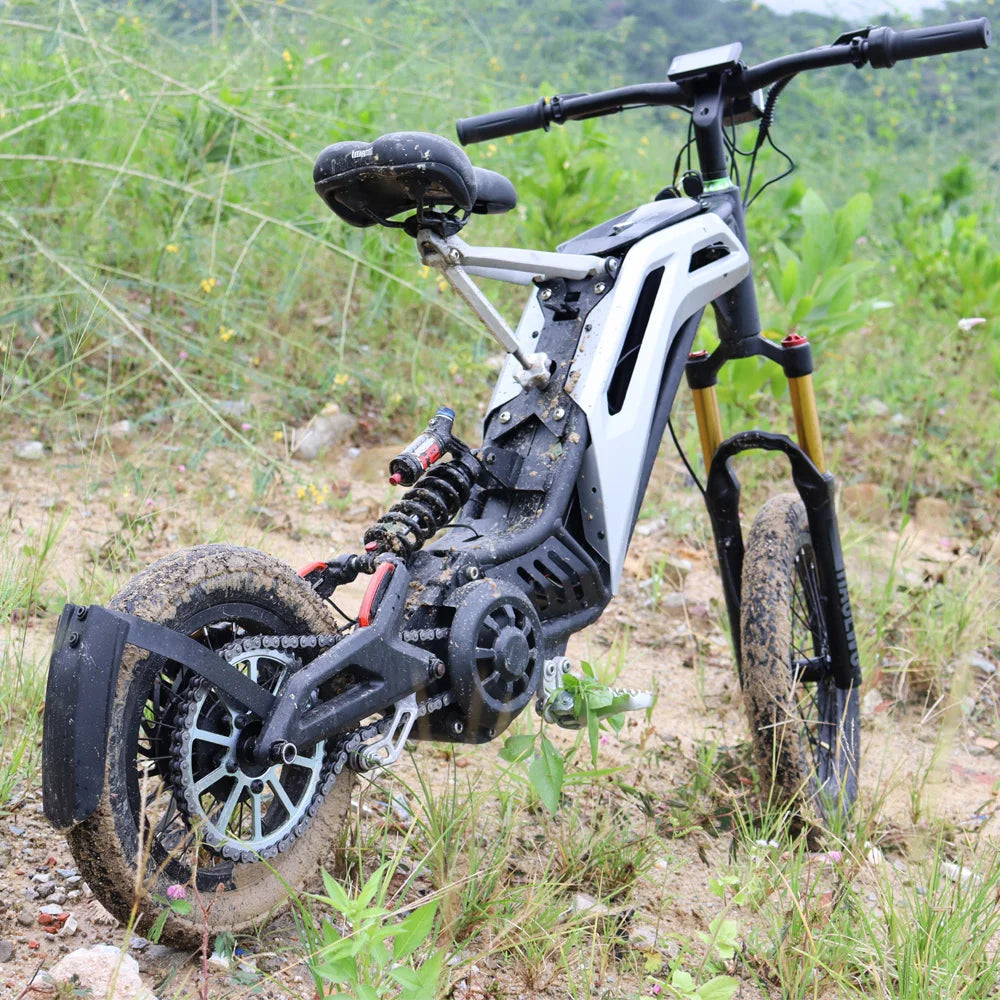 Titaone-S New Fashion Fat Off-road Tire 3000W 48V Fast Speed 75km/h Electric Bicycle Scooter